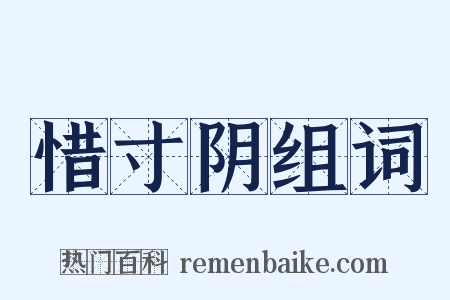 惜寸阴组词是什么意思的图片